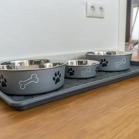 Nr 7 Im Sonnenbad * 萨斯尼茨