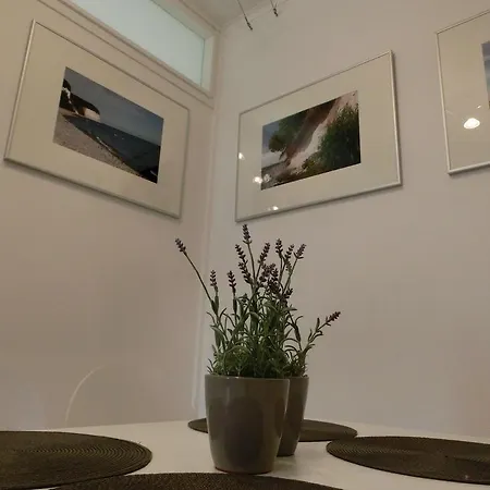 公寓 Nr 7 Im Sonnenbad 萨斯尼茨