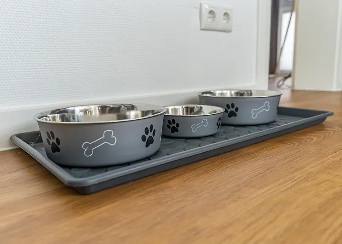 Nr 7 Im Sonnenbad * Sassnitz